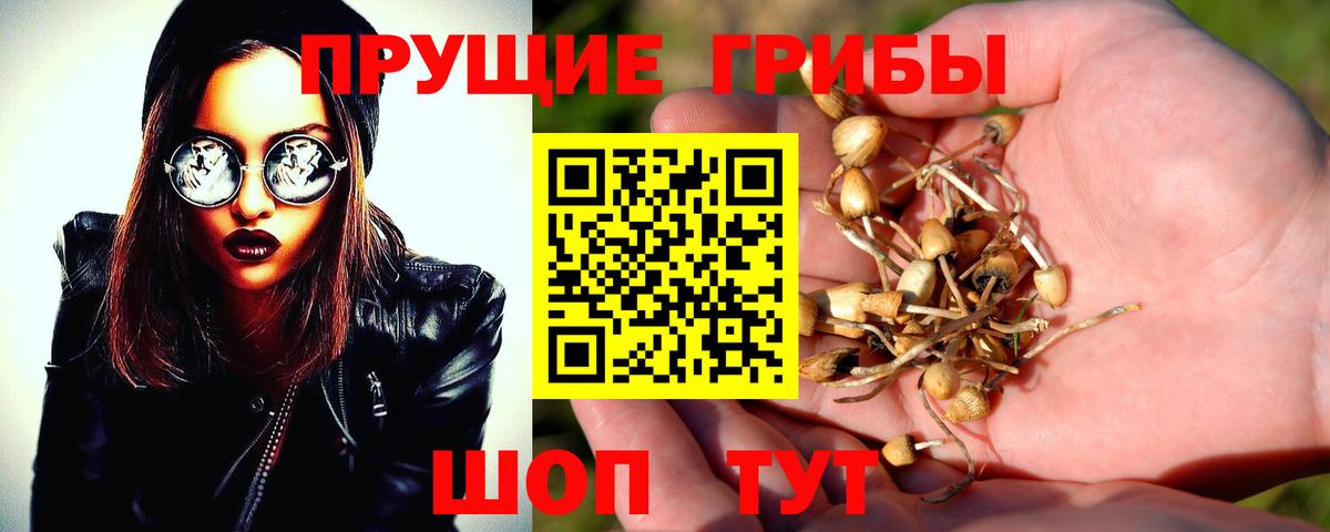 Псилоцибиновые грибы мухоморы  Псилоцибиновые грибы Cubensis  Вход с VPN  Ноябрьск 